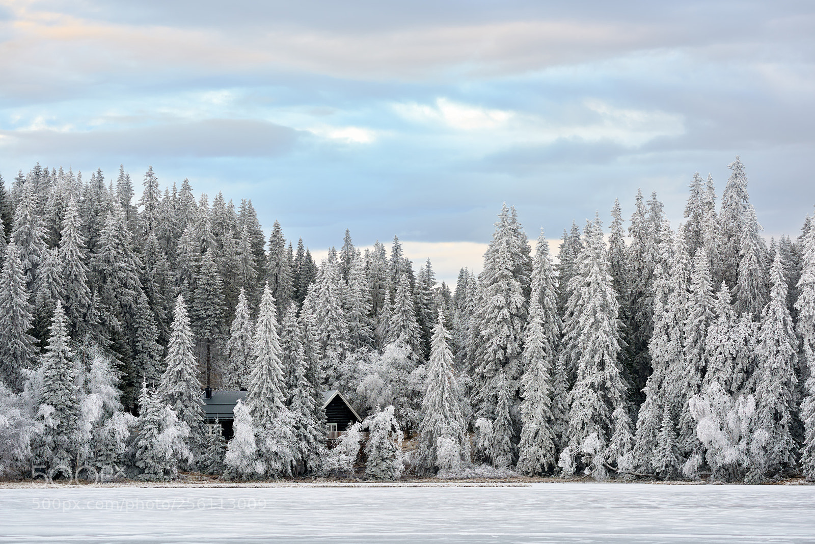 Nikon D810 sample photo. Øvresetertjern #1, rm photography