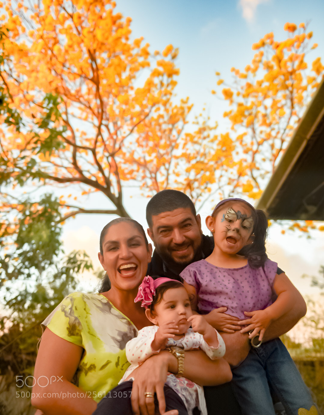 Nikon D750 sample photo. Untitled photography