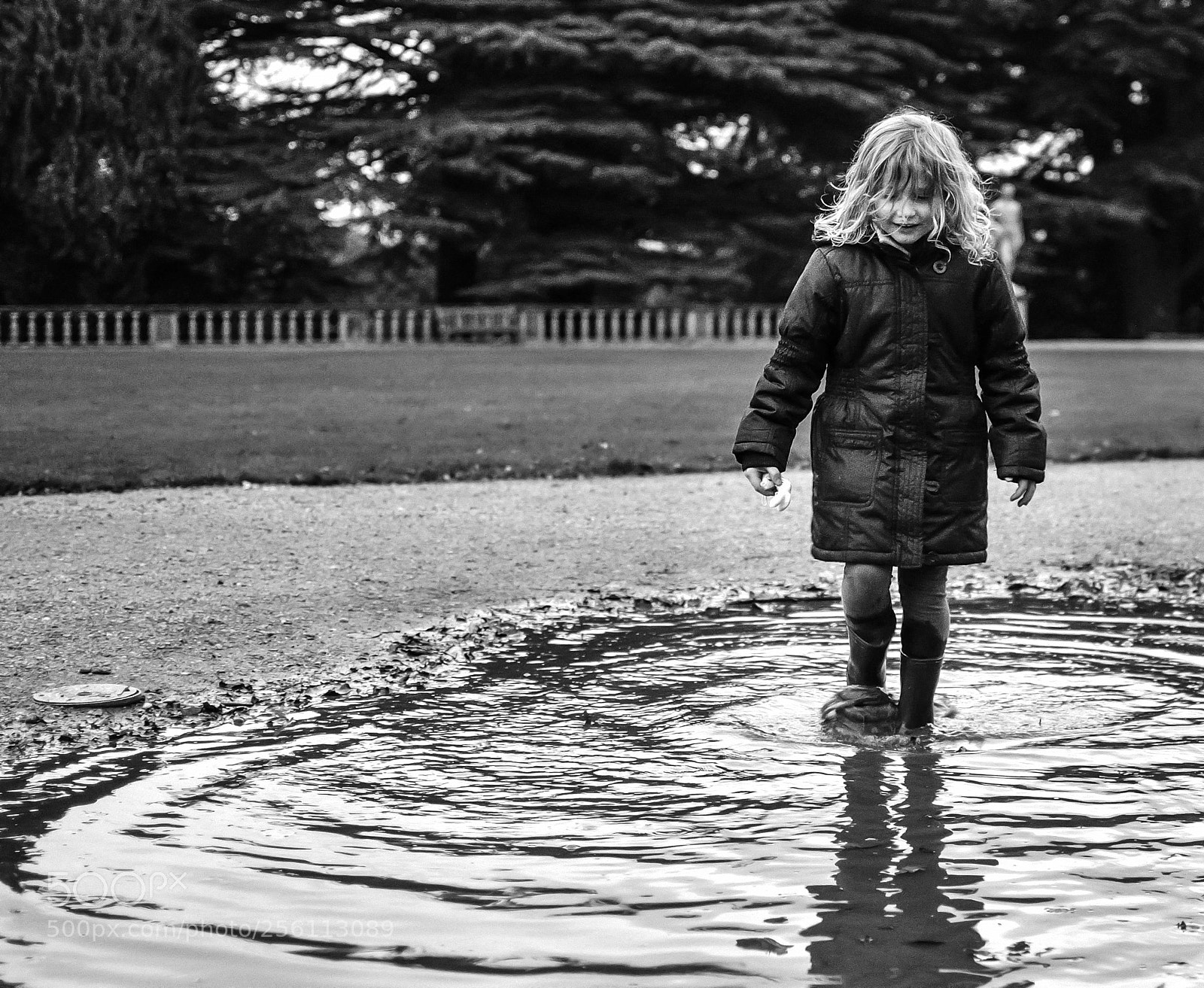Nikon D7000 sample photo. Untitled photography