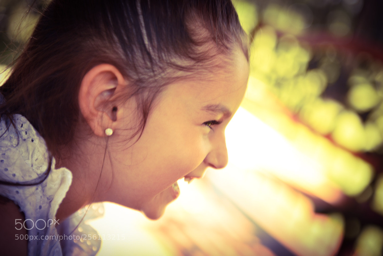 Nikon D750 sample photo. Untitled photography
