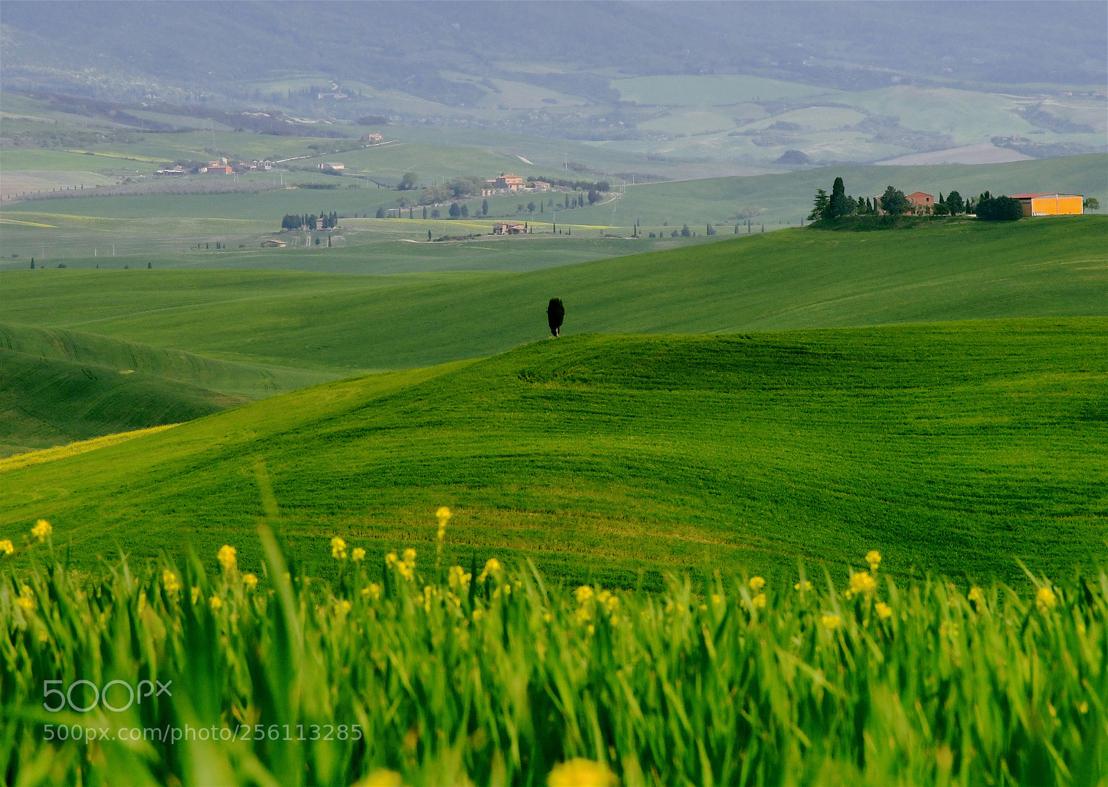 Nikon D7500 sample photo. Val d'orcia photography