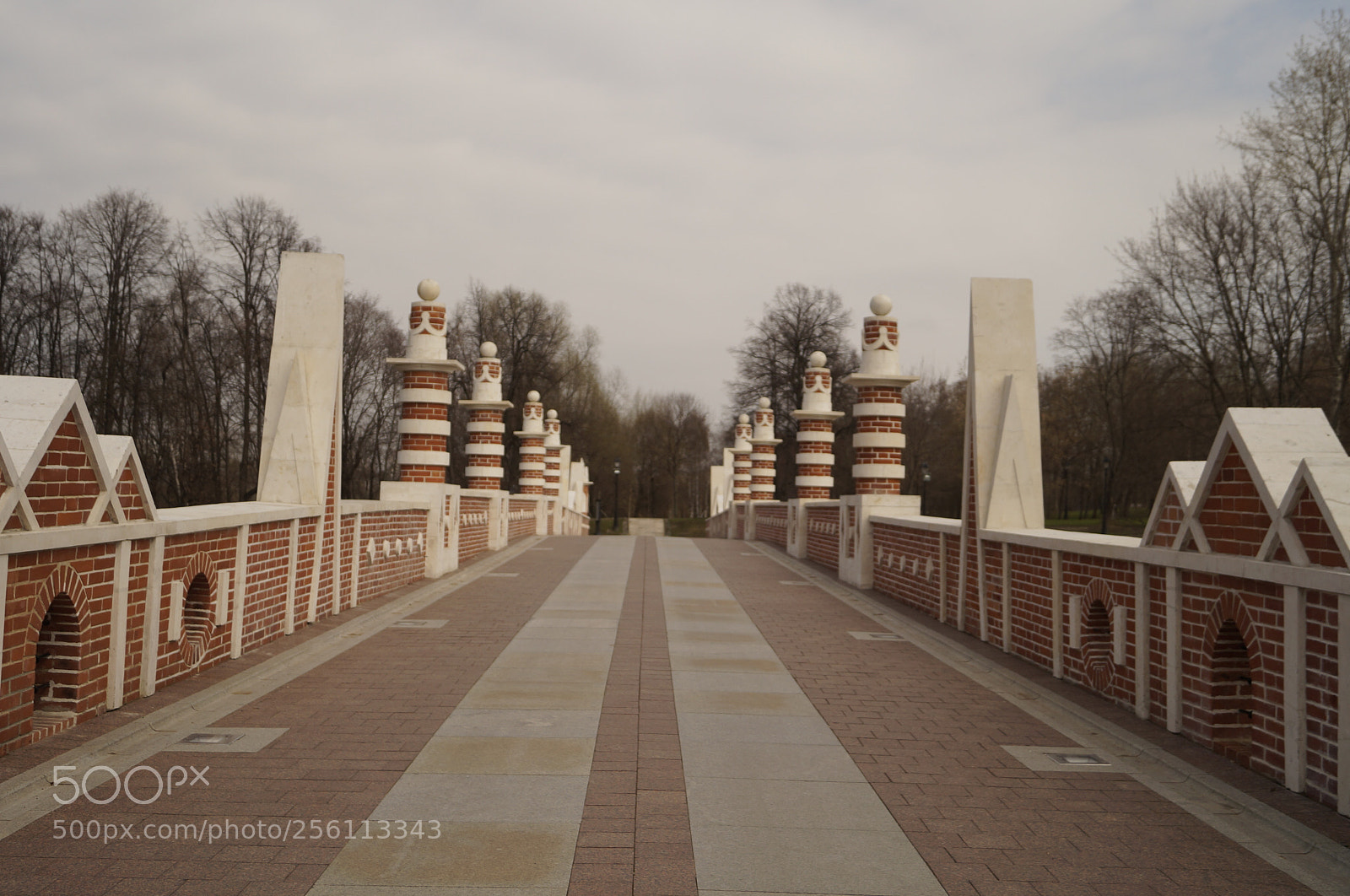 Sony SLT-A57 sample photo. Untitled photography
