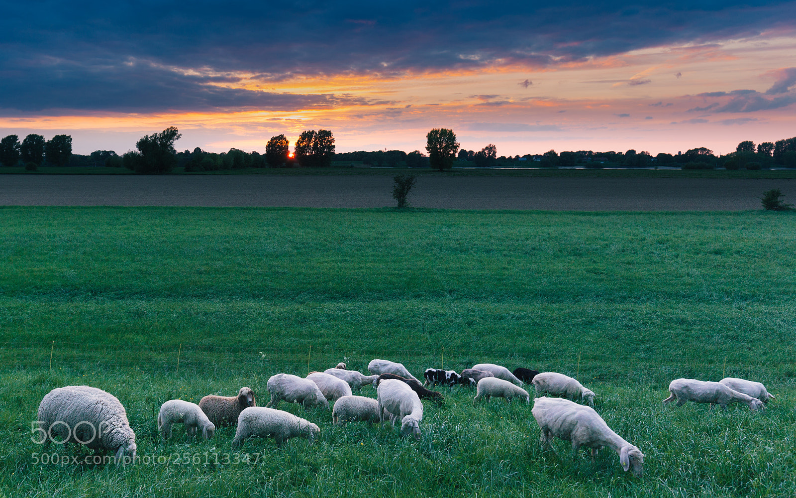 Canon EOS 6D sample photo. Dusk photography