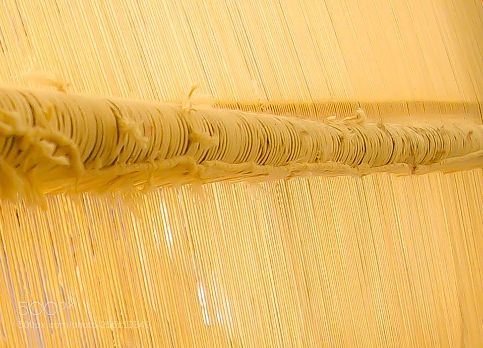 Pentax *ist DL2 sample photo. Warp on a rug photography