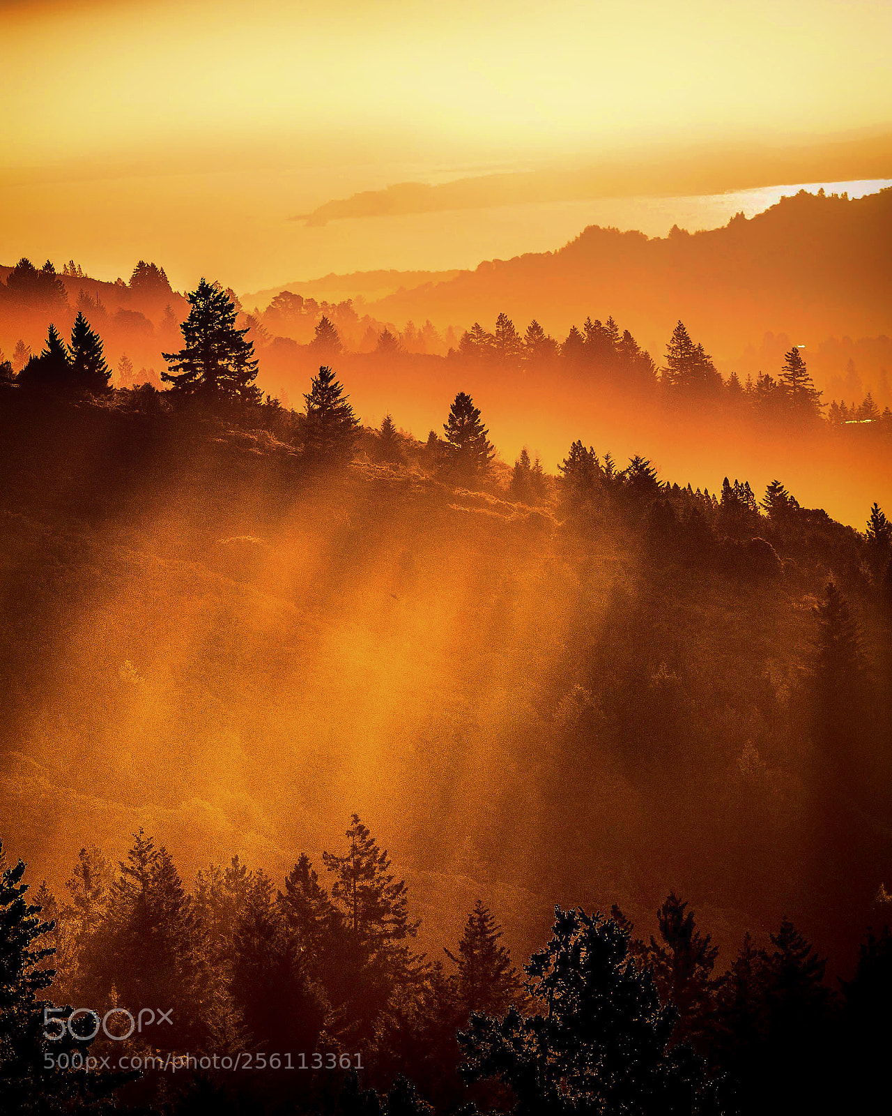 Canon EOS 6D sample photo. "sunshine glow" photography