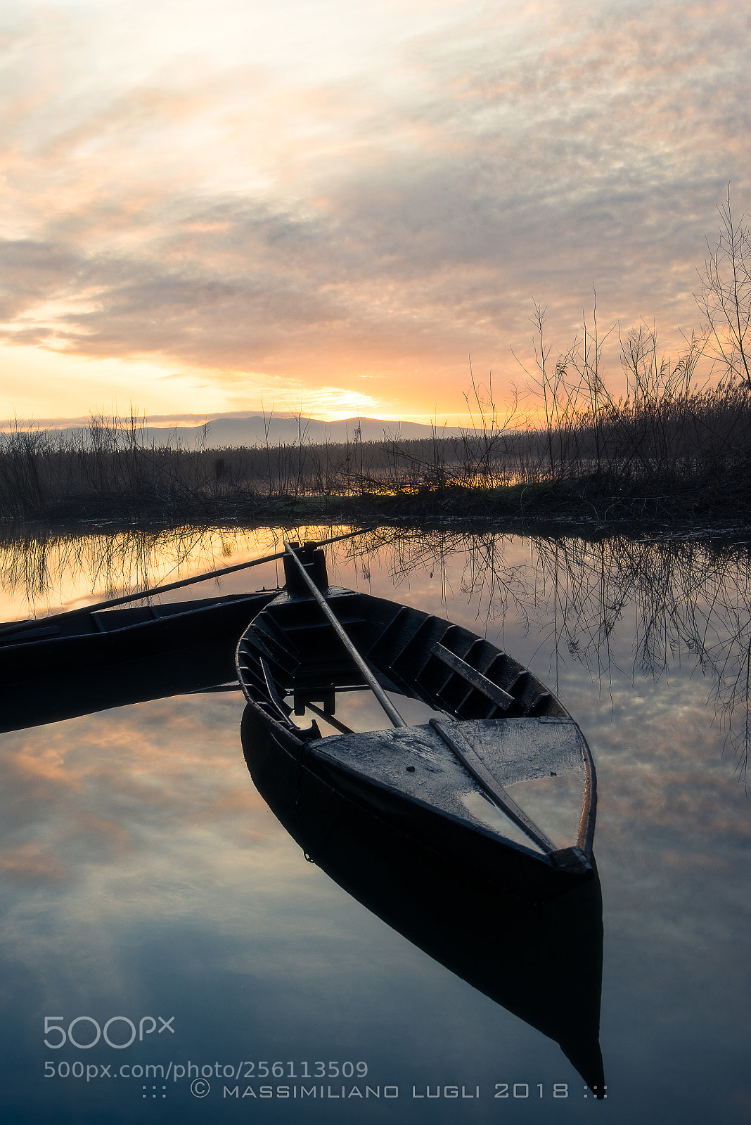 Nikon D610 sample photo. Alba padule photography