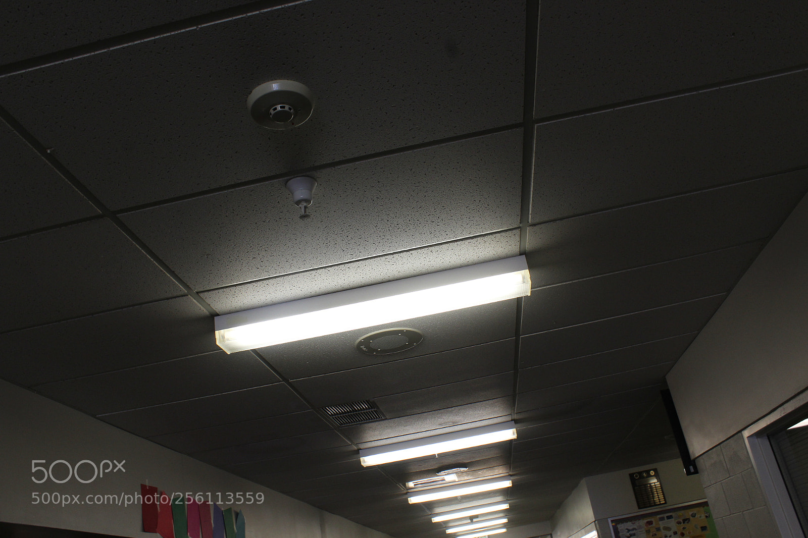 Canon EOS 1200D (EOS Rebel T5 / EOS Kiss X70 / EOS Hi) sample photo. Img photography