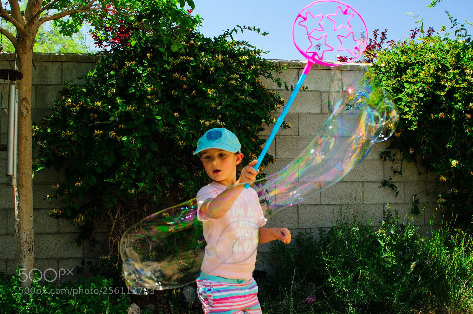 Sony SLT-A57 sample photo. Amazing bubbles photography