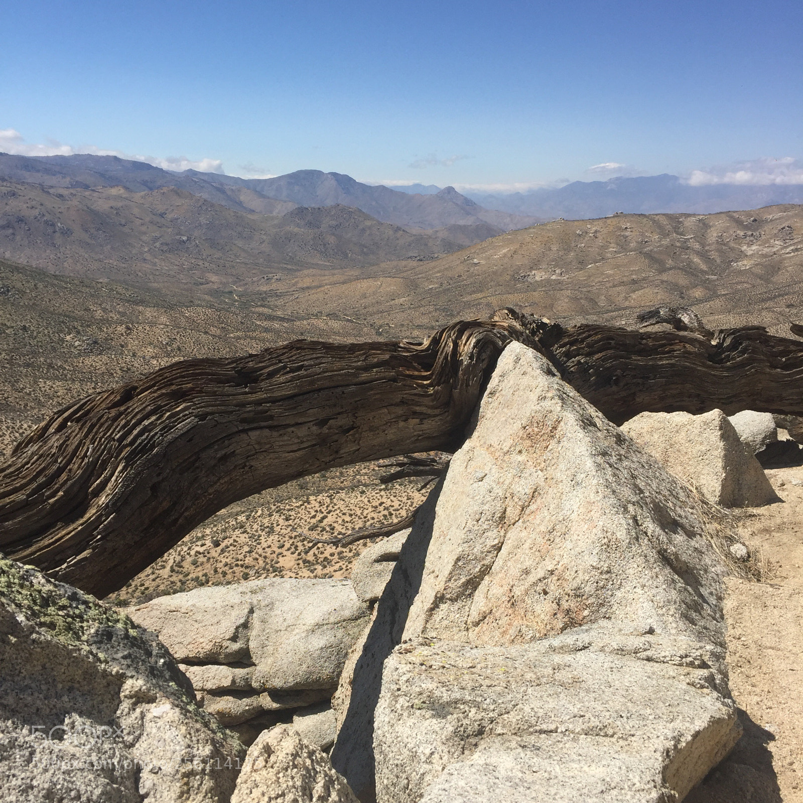Apple iPhone 6 sample photo. Pacific crest trail photography