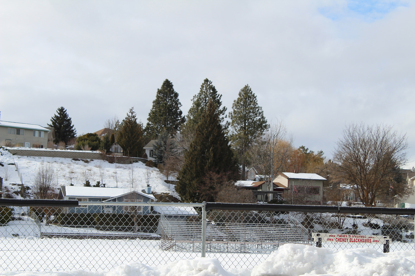 Canon EOS 1300D (EOS Rebel T6 / EOS Kiss X80) sample photo. The three best trees photography