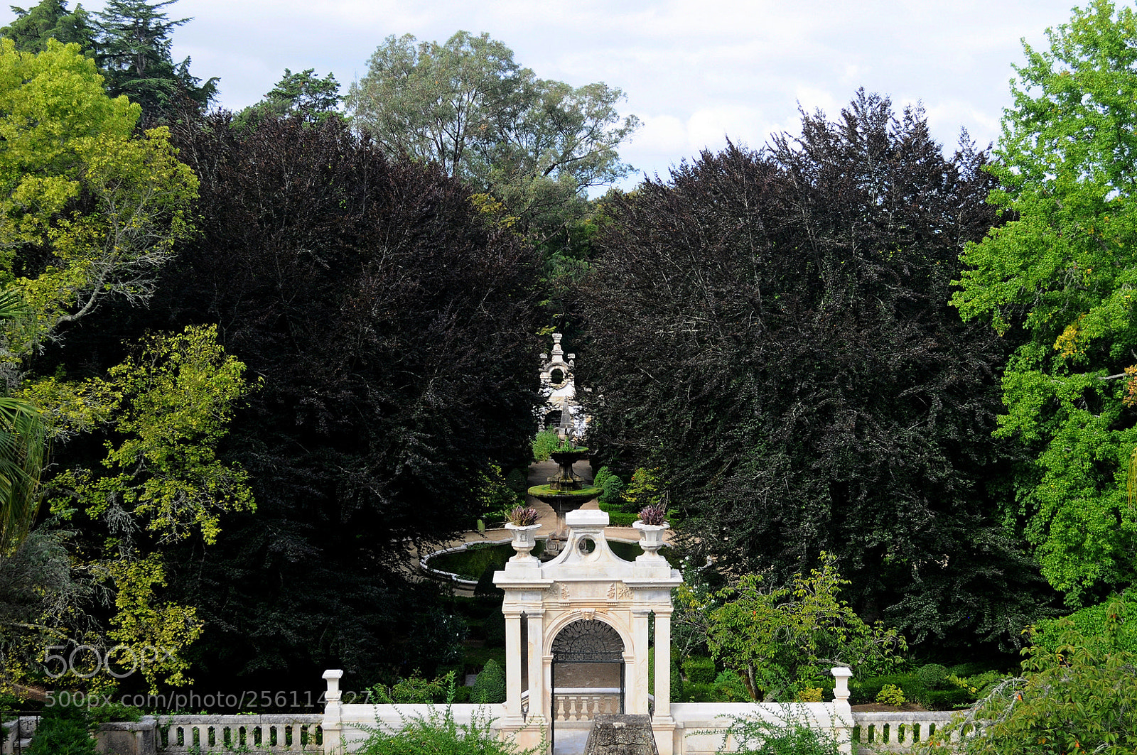 Nikon D5000 sample photo. Jardimbotanicocoimbra photography
