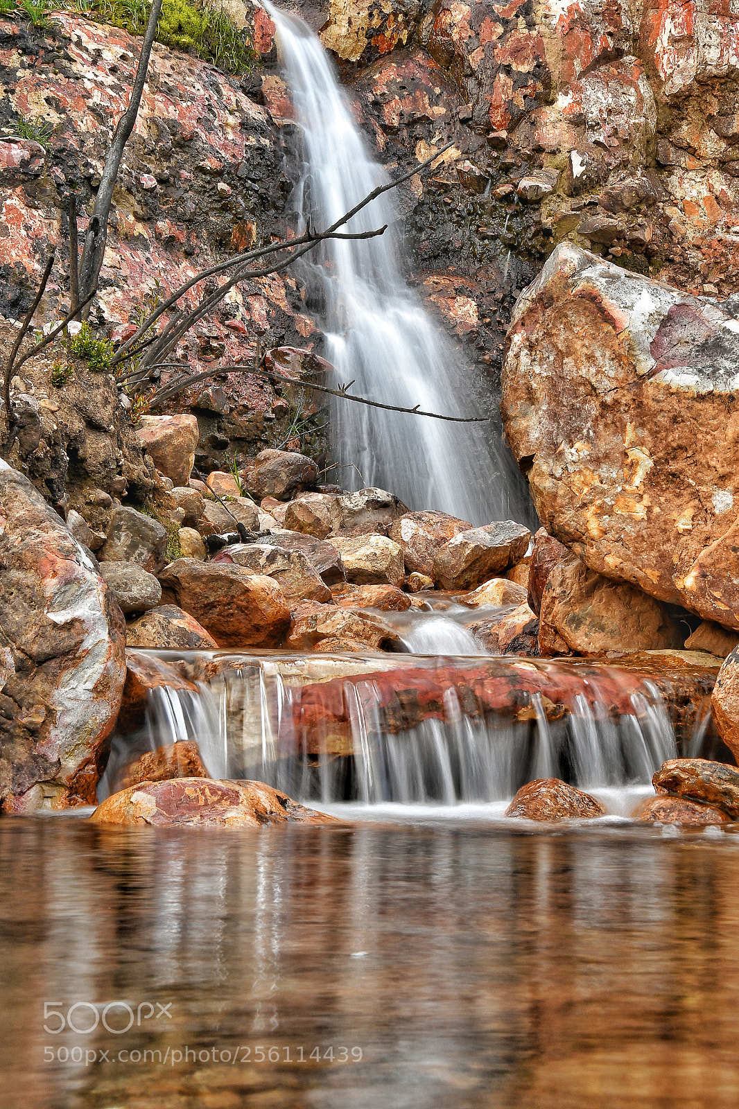 Nikon D7500 sample photo. Untitled photography