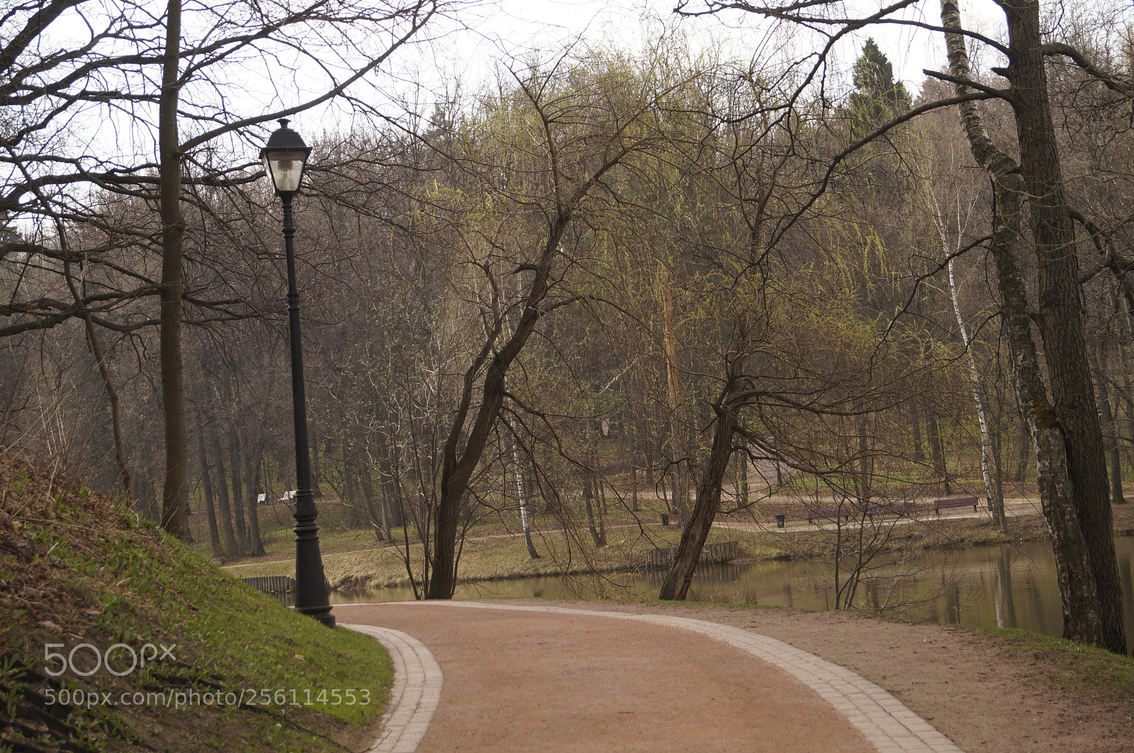 Sony SLT-A57 sample photo. Untitled photography