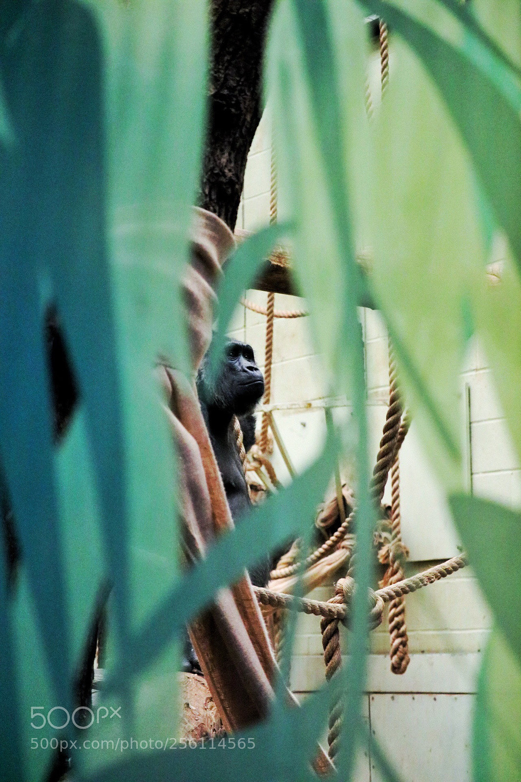 Canon EOS 750D (EOS Rebel T6i / EOS Kiss X8i) sample photo. Untitled photography
