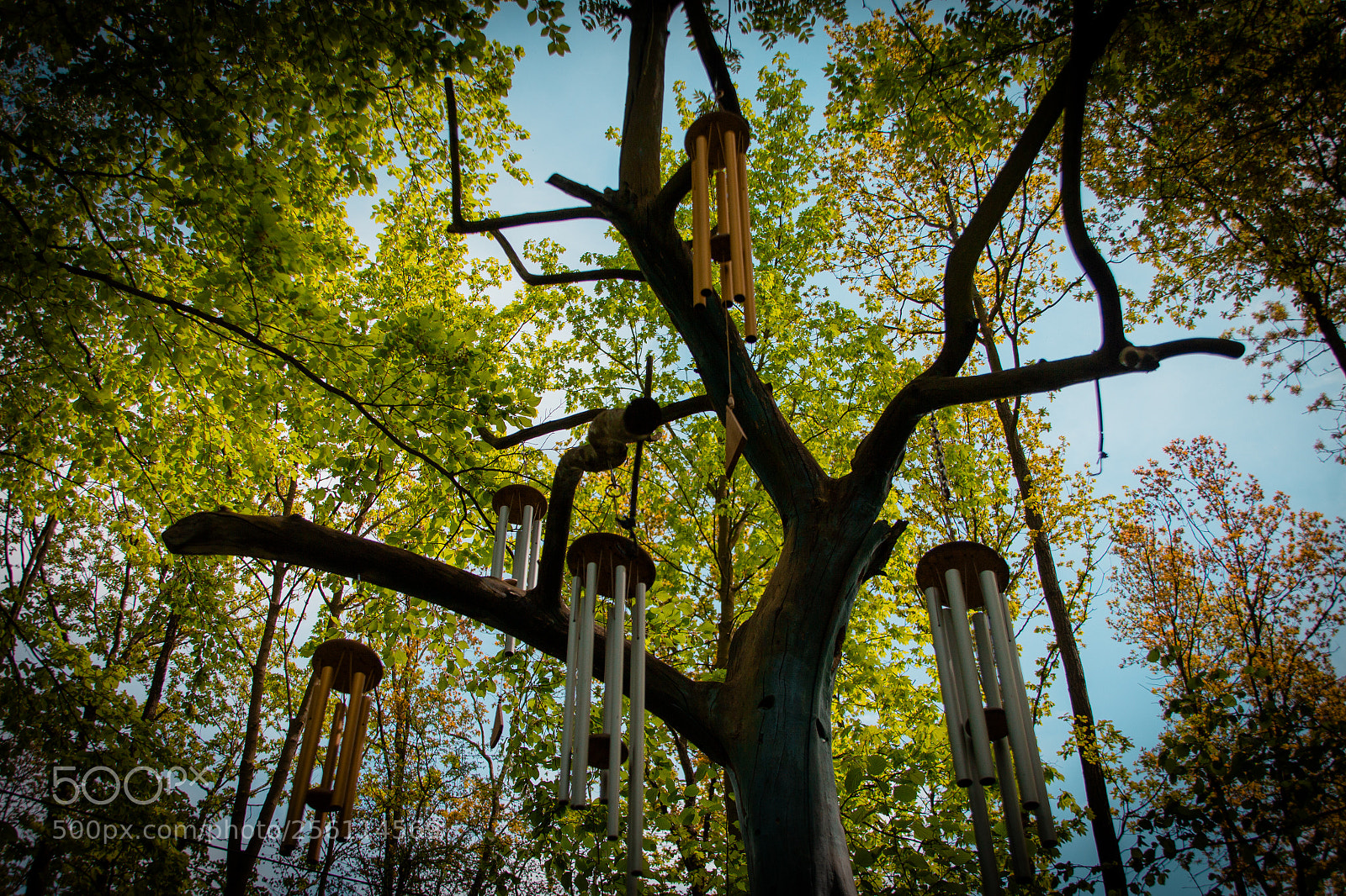 Canon EOS 700D (EOS Rebel T5i / EOS Kiss X7i) sample photo. Wind chimes photography