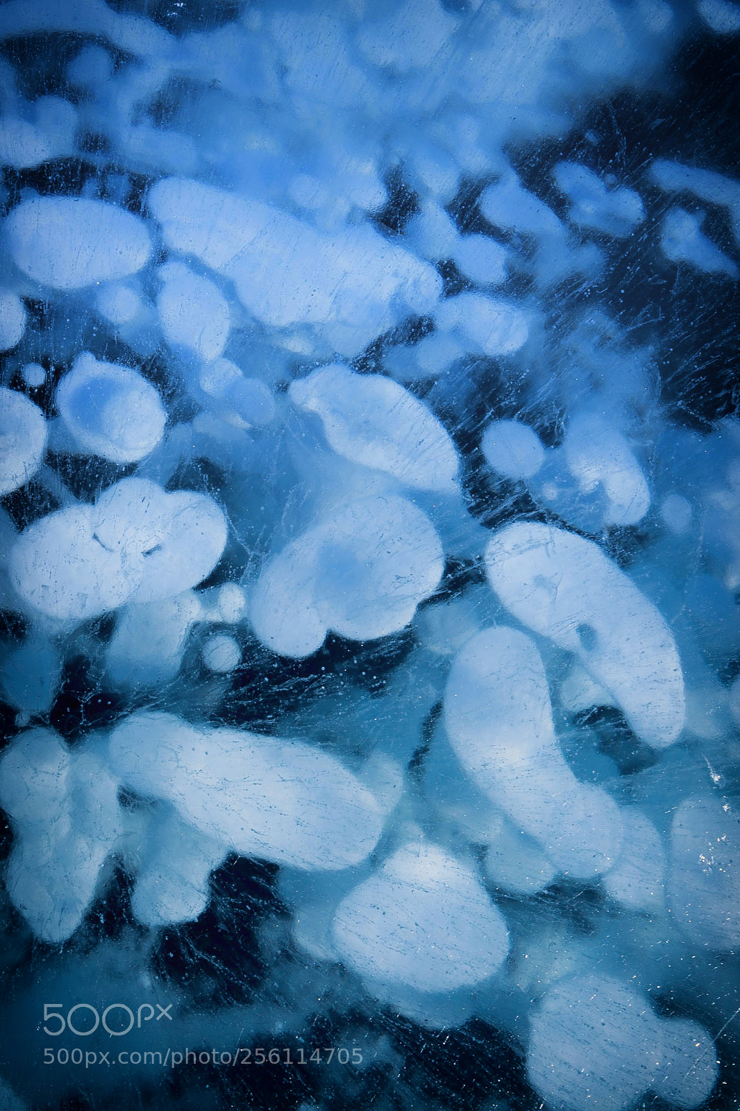 Canon EOS 6D sample photo. "frozen abstract" photography