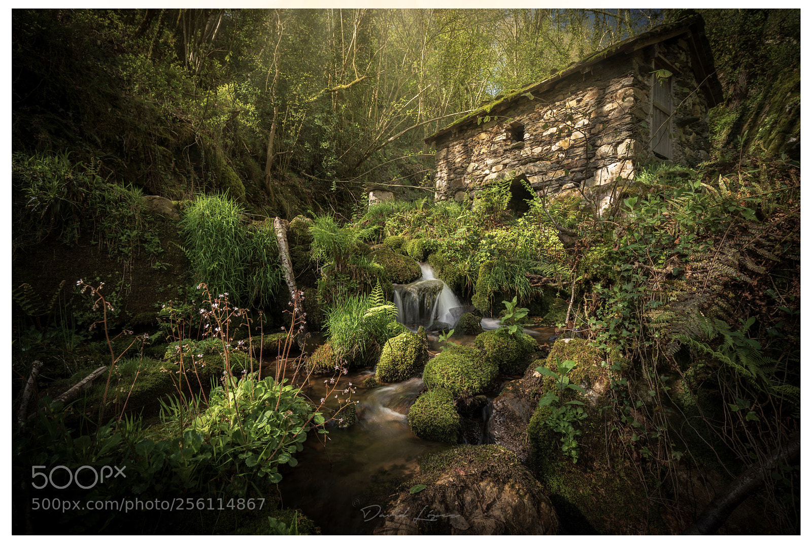 Sony a7 III sample photo. Busmente mill photography