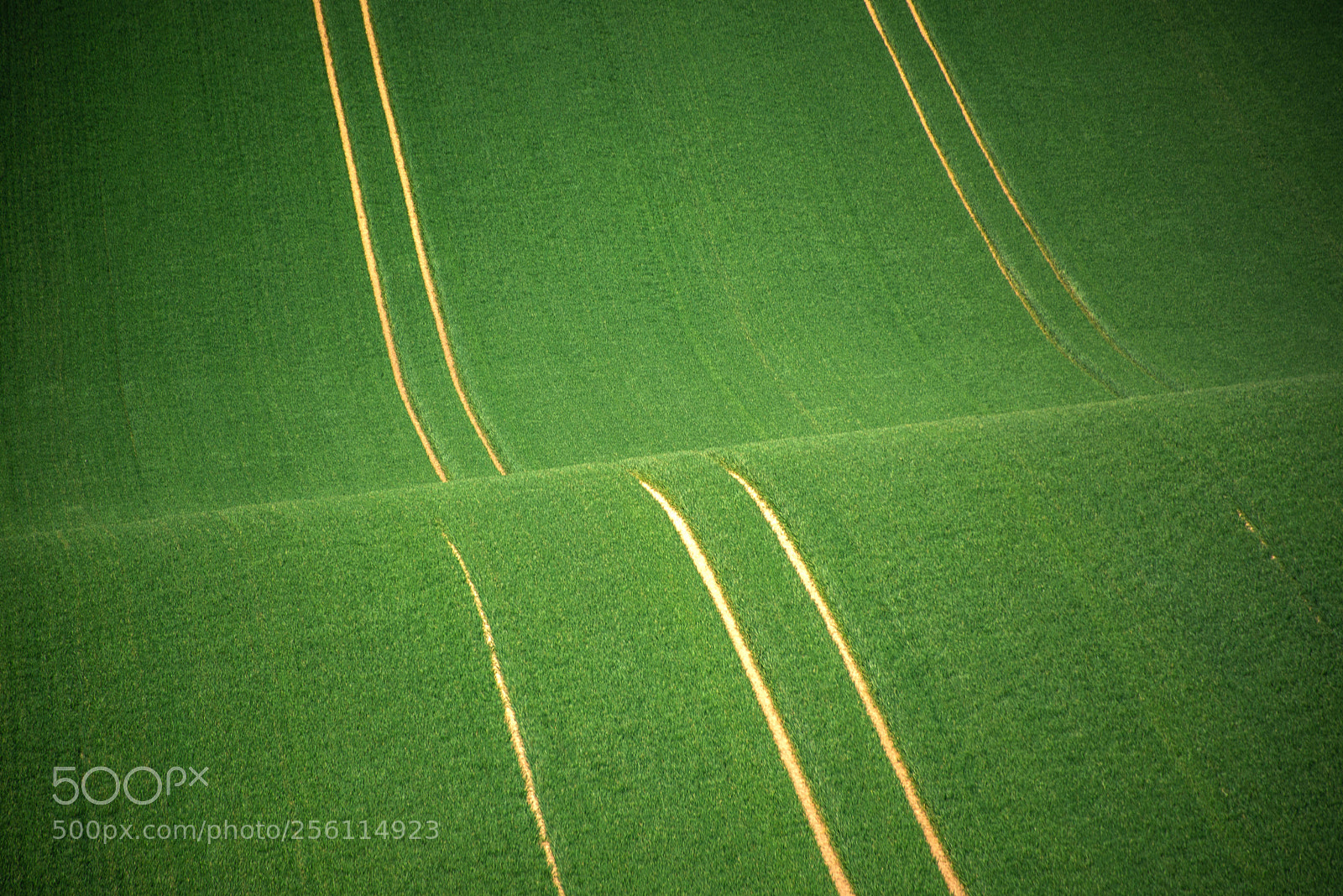 Nikon D610 sample photo. Moravian fields photography