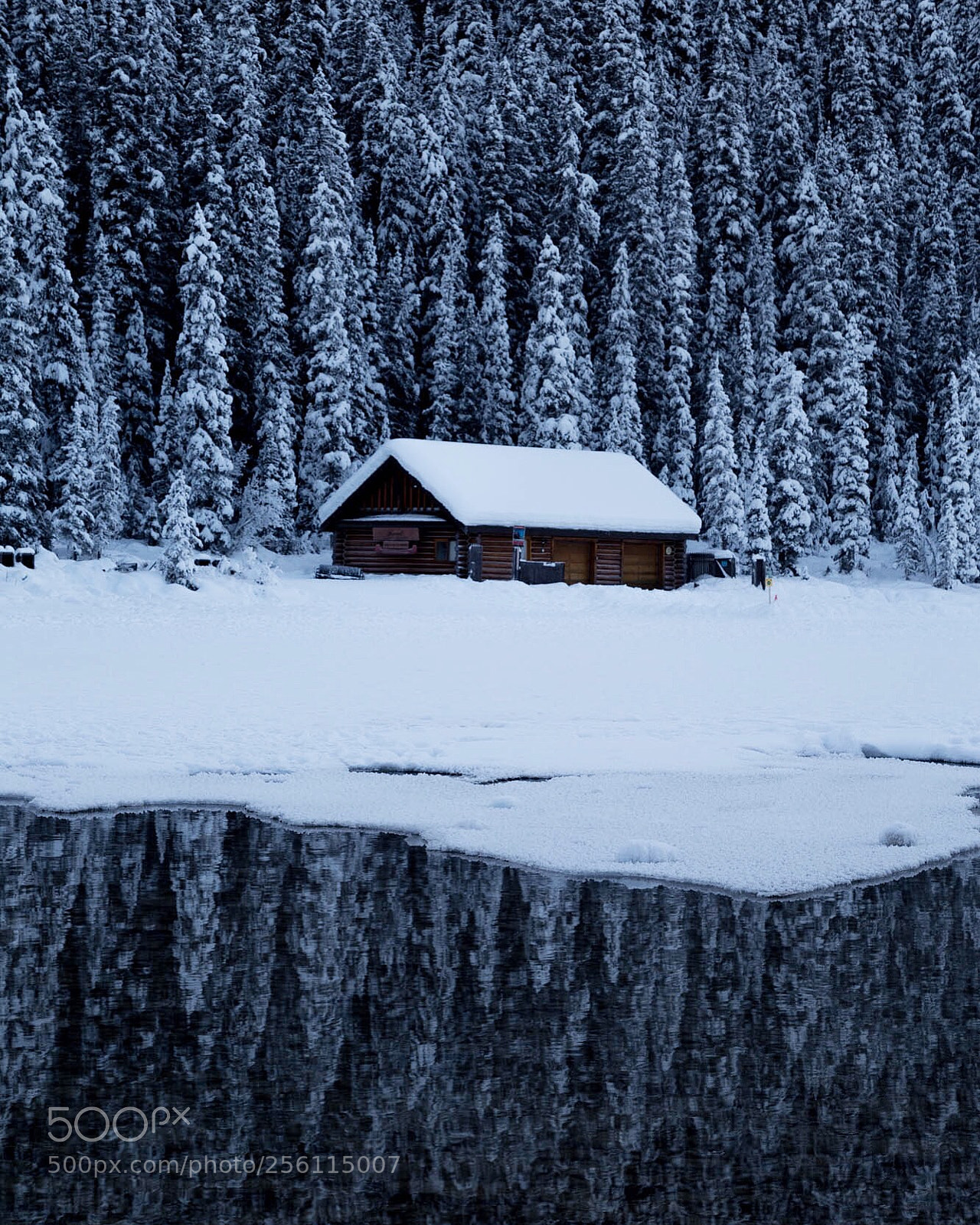 Canon EOS 6D sample photo. "cabin fever" photography