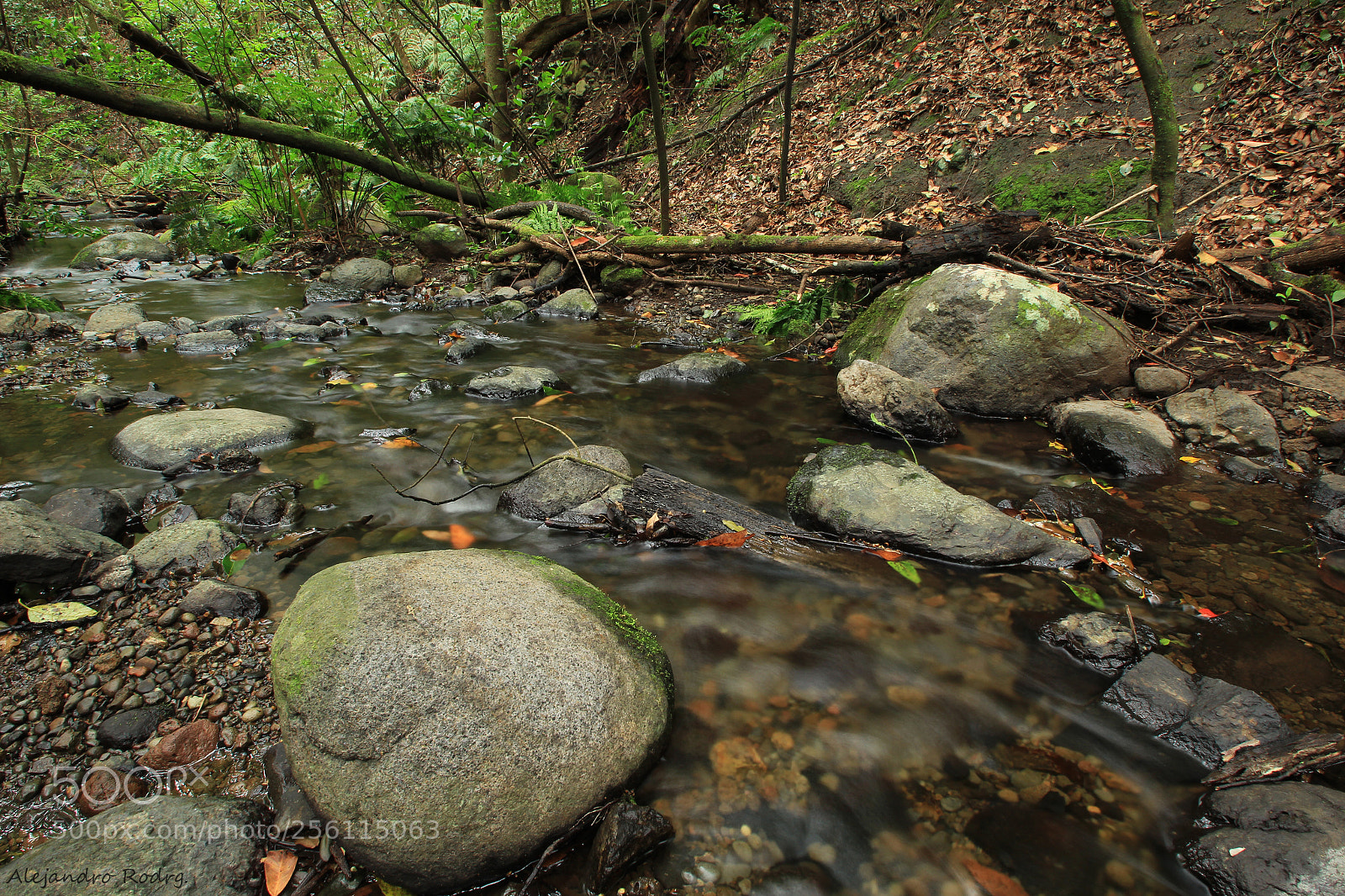 Canon EOS 60D sample photo. Arroyo el cedro. la photography