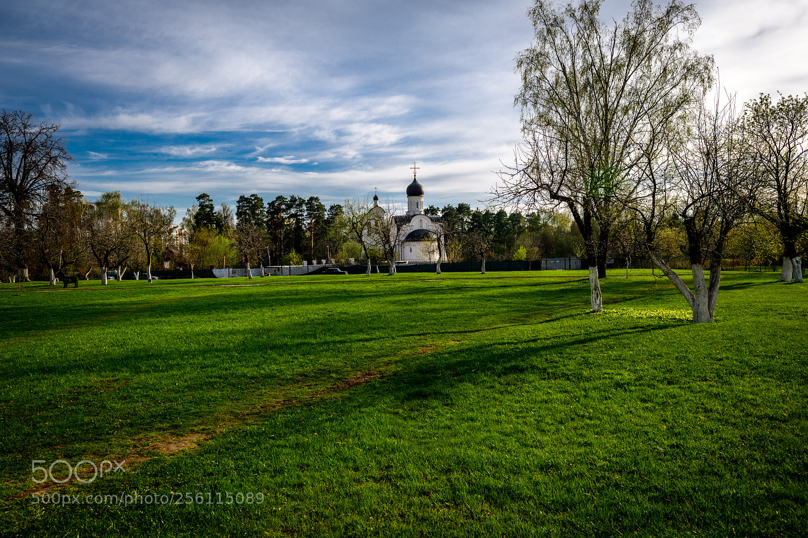 Nikon D850 sample photo. Peredelkino, moscow, russia. photography