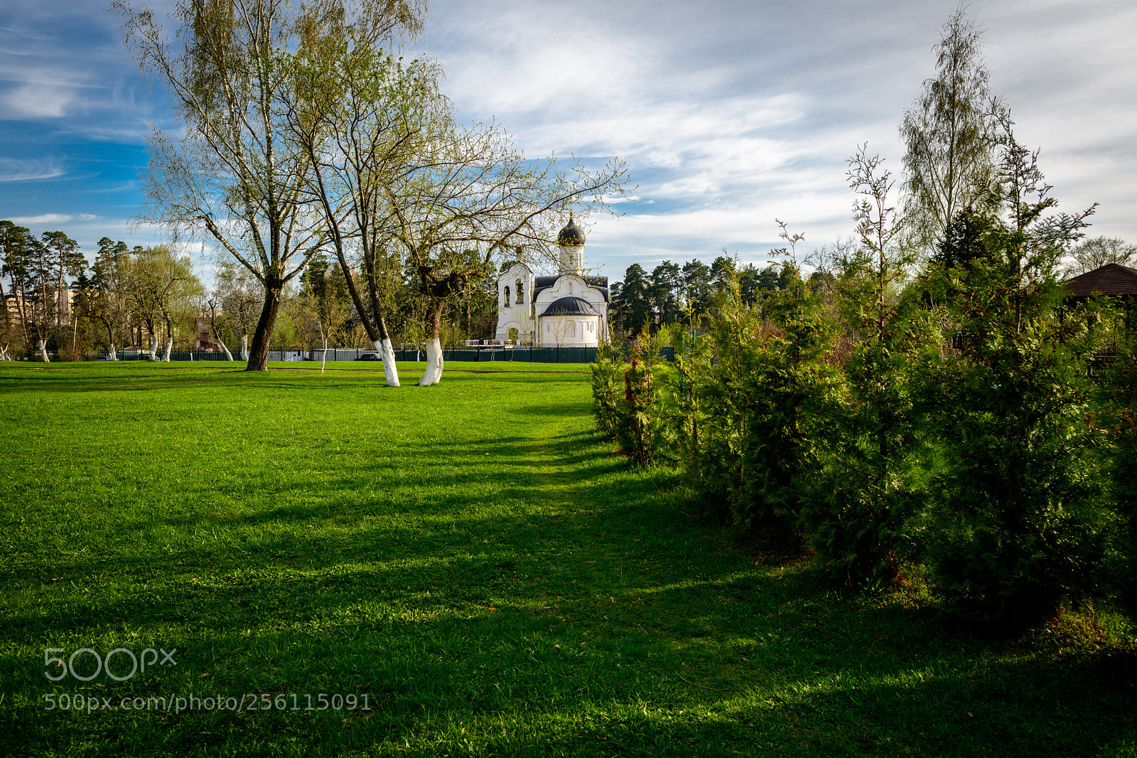 Nikon D850 sample photo. Peredelkino, moscow, russia. photography