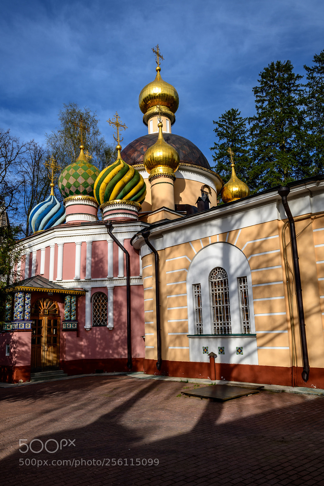 Nikon D850 sample photo. Peredelkino, moscow, russia. photography