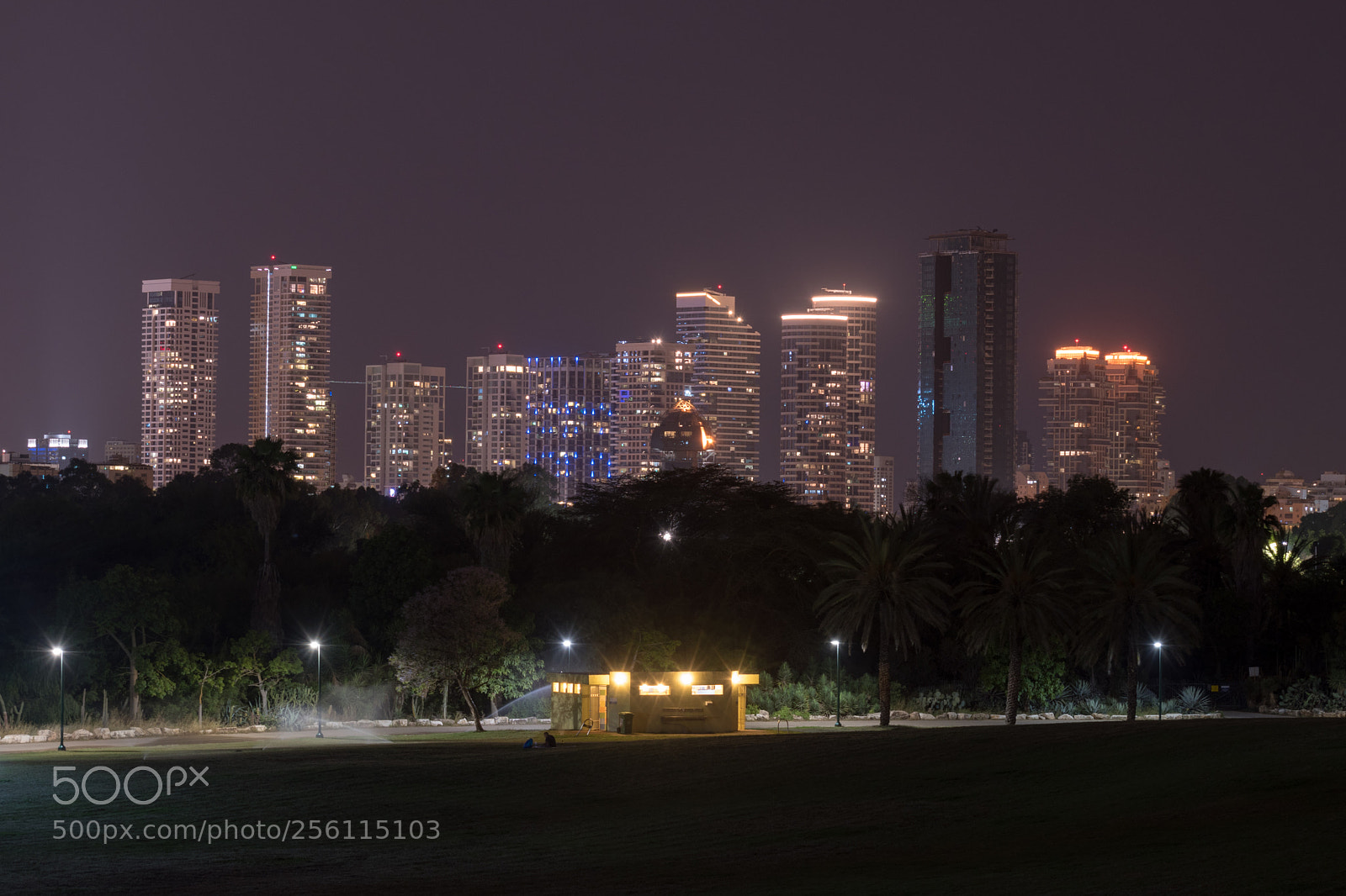 Nikon D5600 sample photo. Views from the park 2 photography