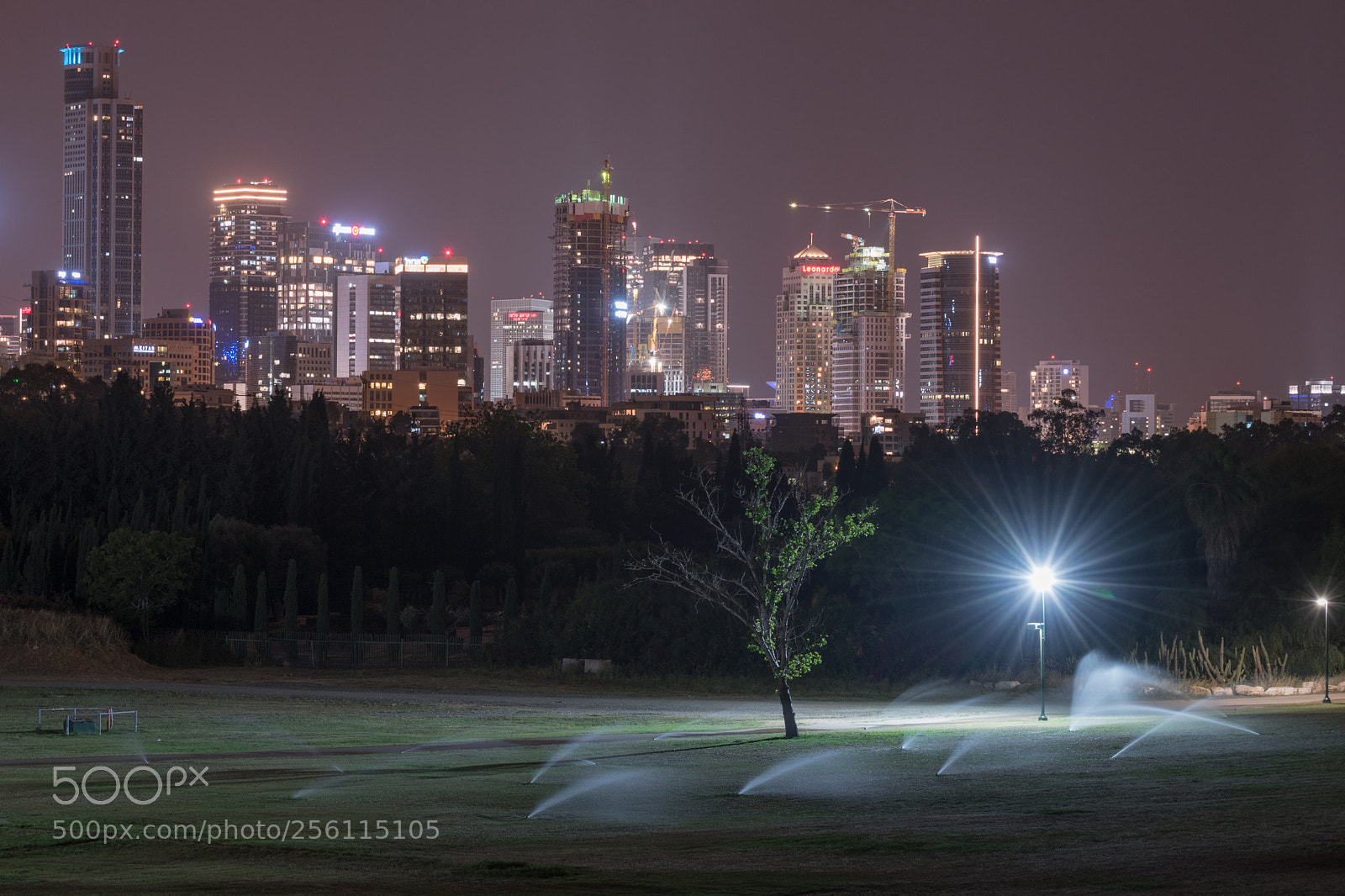Nikon D5600 sample photo. Views from the park 1 photography