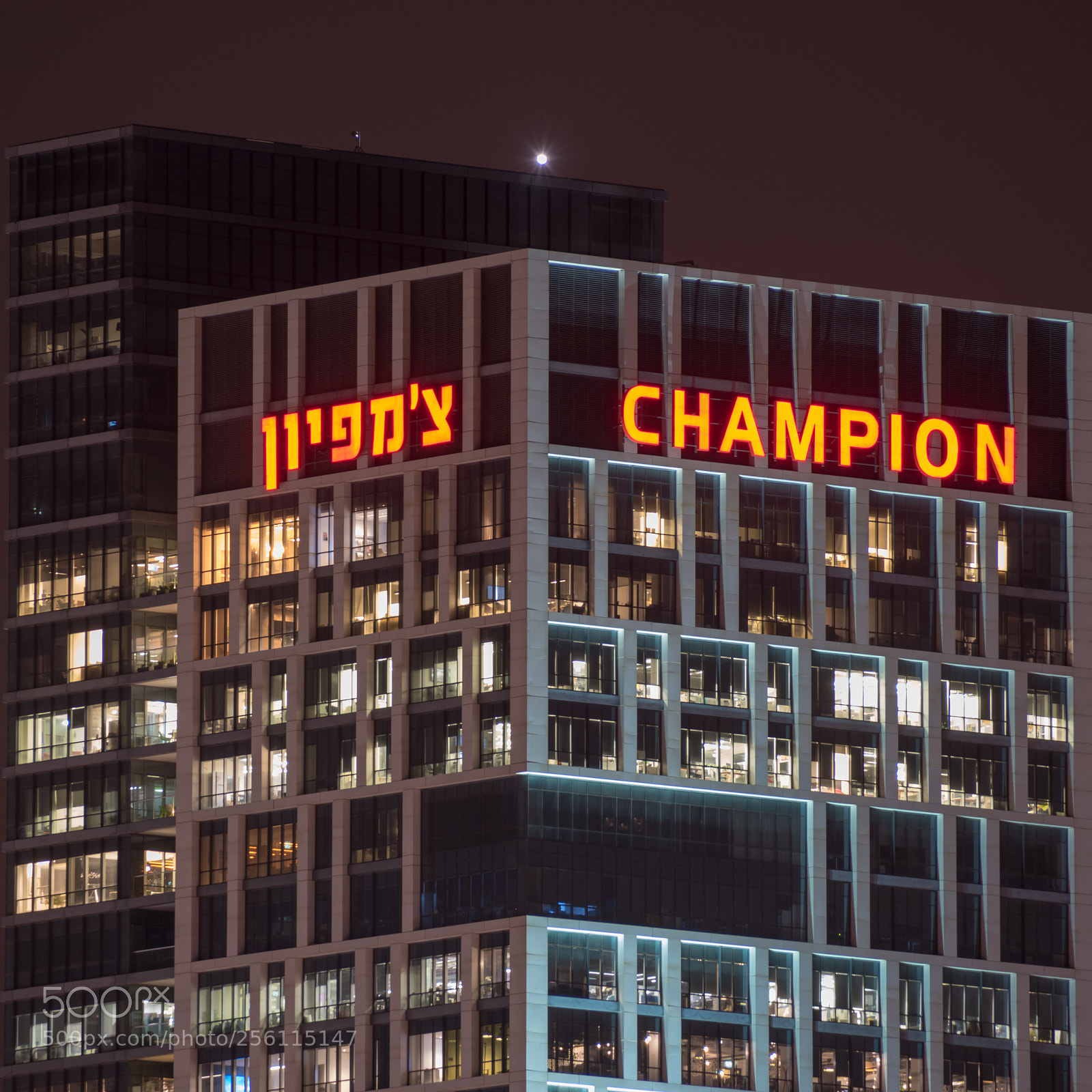 Nikon D5600 sample photo. Views from the park 3 photography
