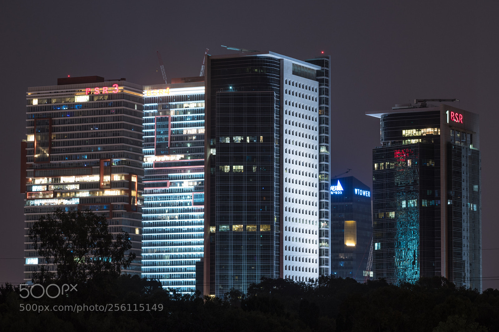 Nikon D5600 sample photo. Views from the park 4 photography