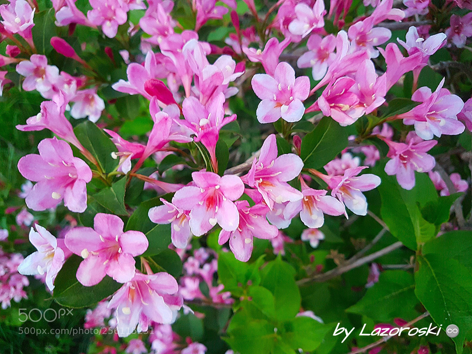 Samsung Galaxy S7 Edge sample photo. Untitled photography