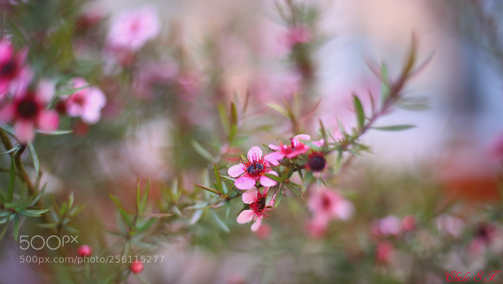 Canon EOS 6D sample photo. Untitled photography