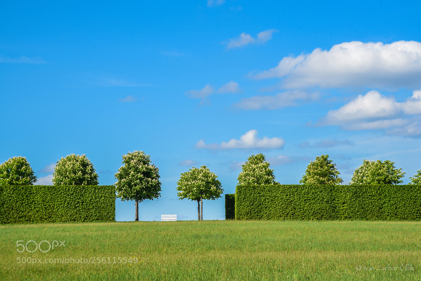 Nikon D750 sample photo. Schloss seehof photography