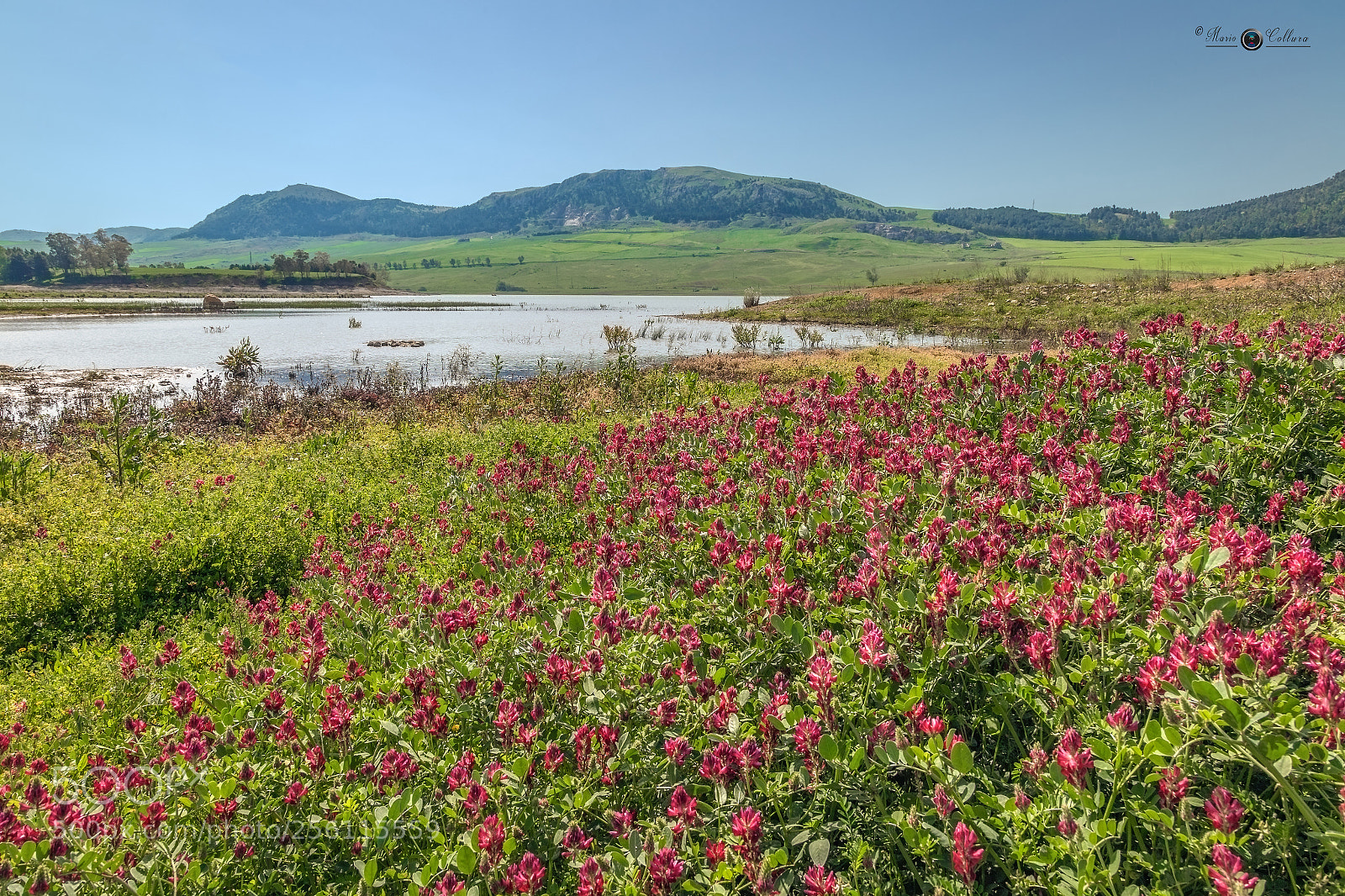Canon EOS 6D sample photo. One day of spring photography