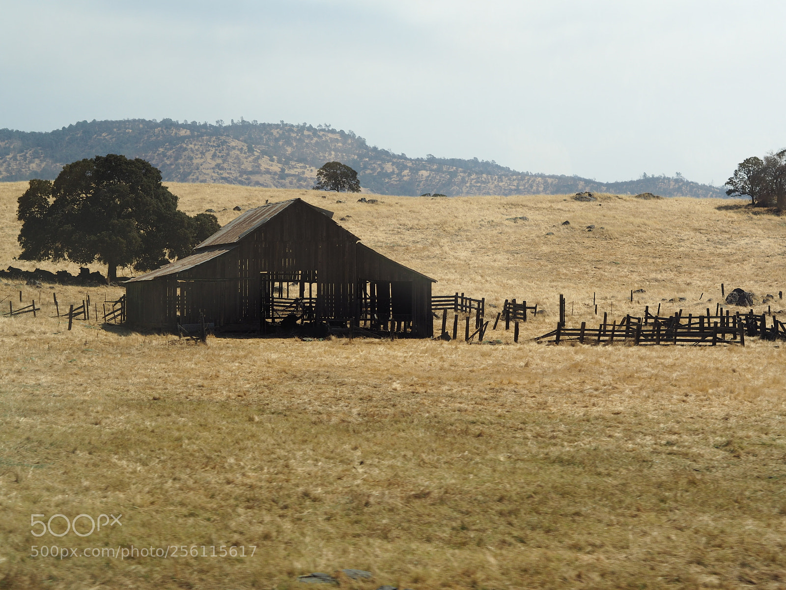 Olympus PEN E-PL7 sample photo. California photography
