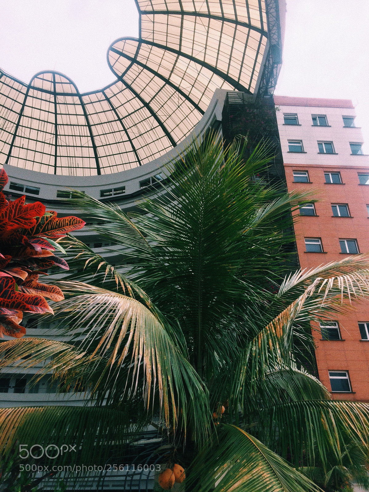 Apple iPhone 5s sample photo. Untitled photography