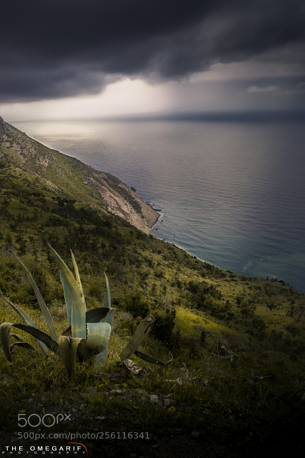 Nikon D3100 sample photo. Nature of taoussarte photography