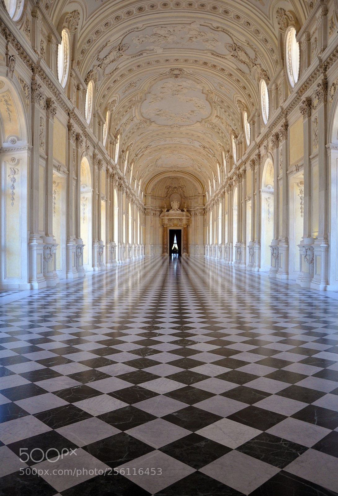 Nikon D90 sample photo. Hall of diana photography