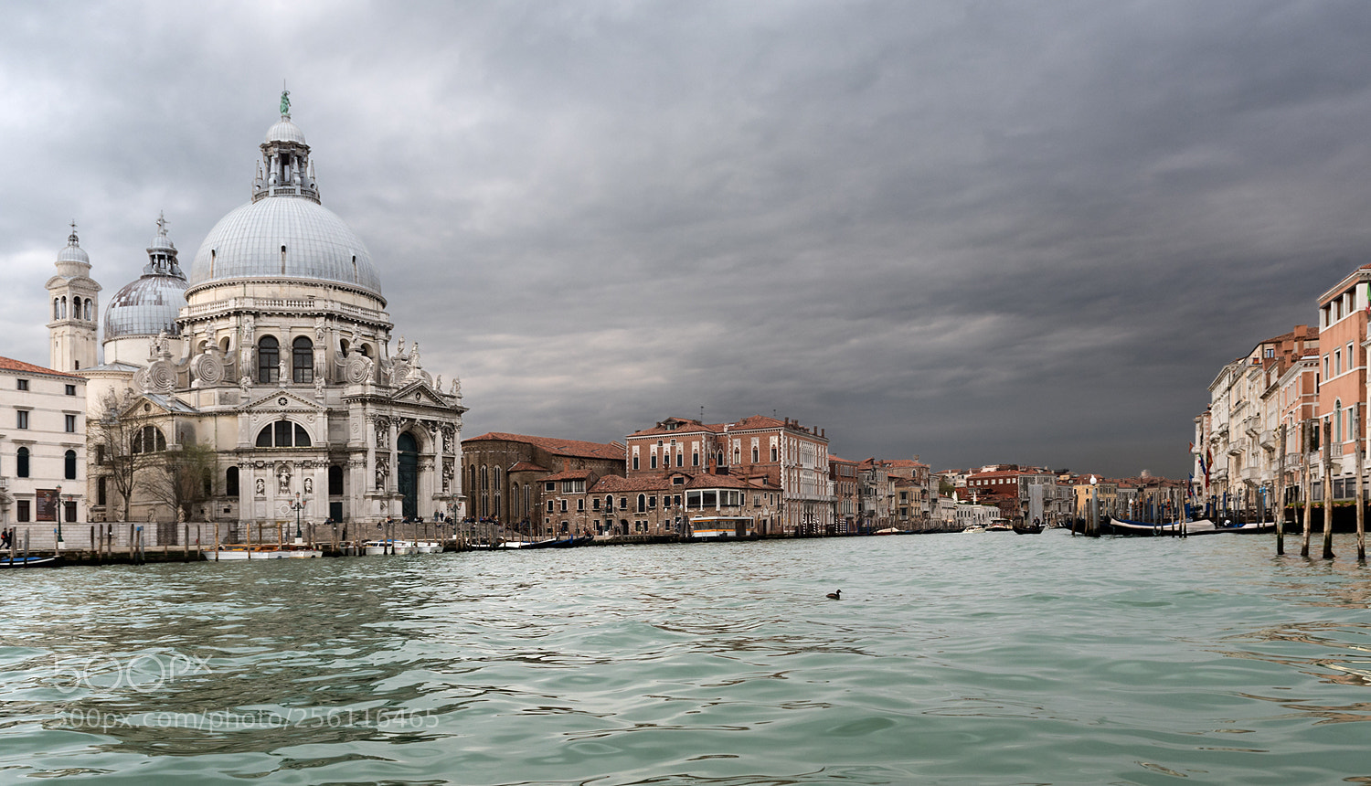 Nikon D750 sample photo. Venice. photography