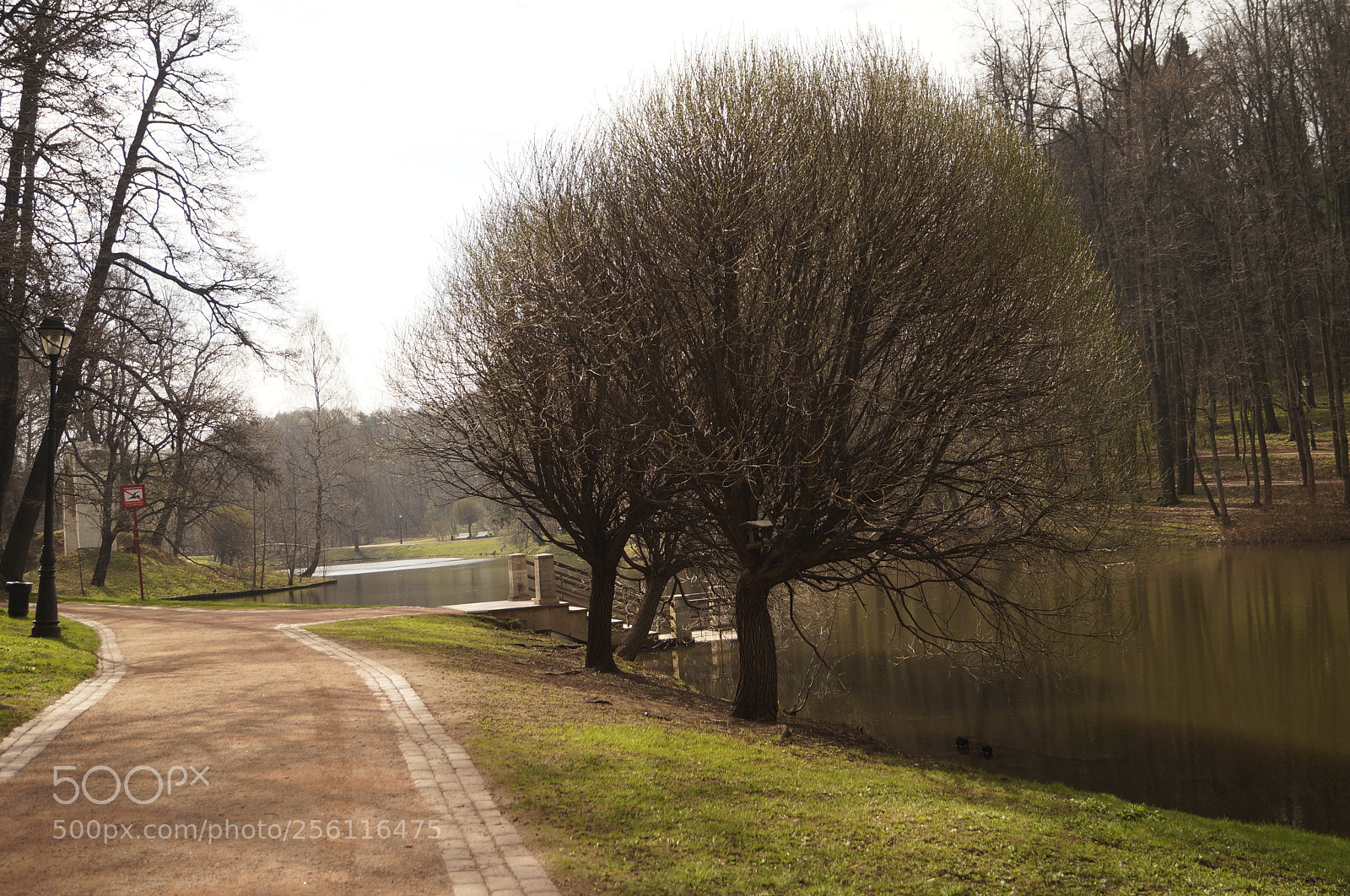 Sony SLT-A57 sample photo. Untitled photography