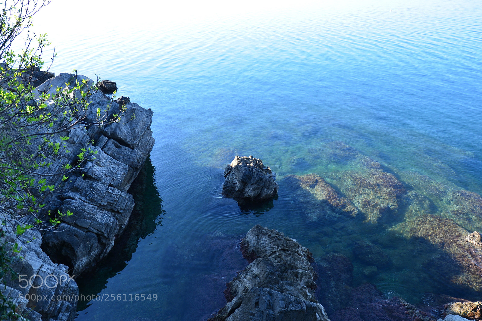 Nikon D610 sample photo. Untitled photography