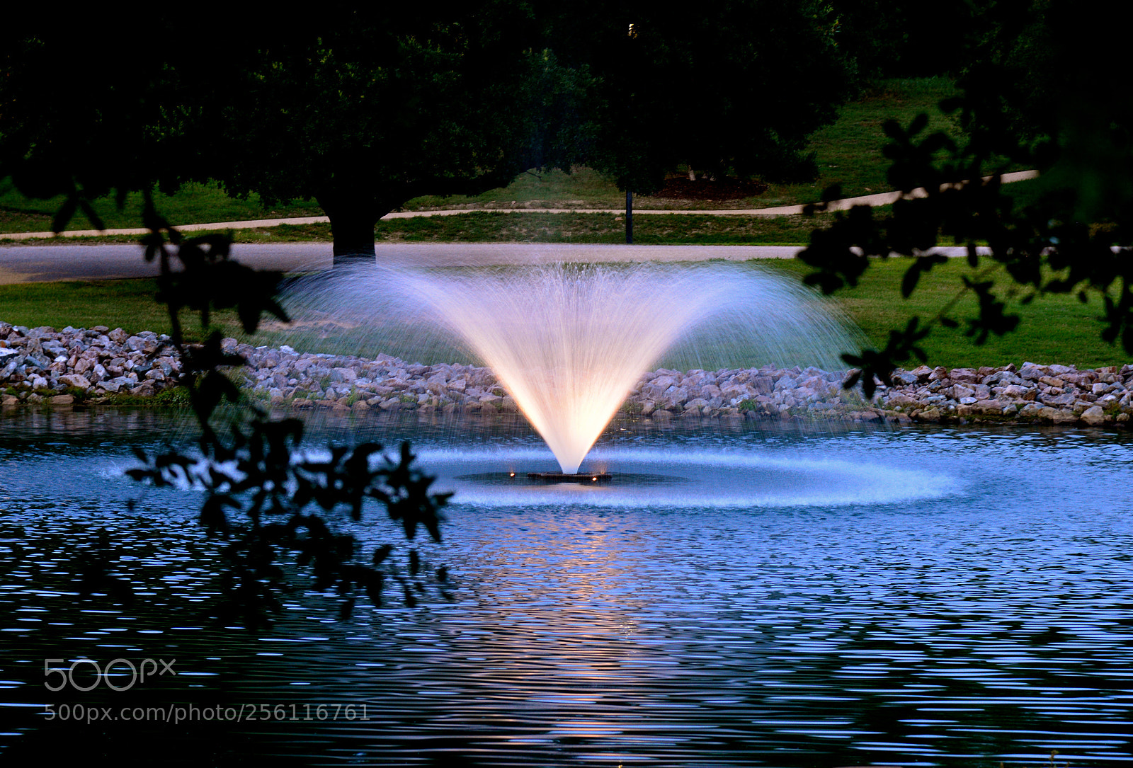 Nikon D600 sample photo. Pond at dusk photography