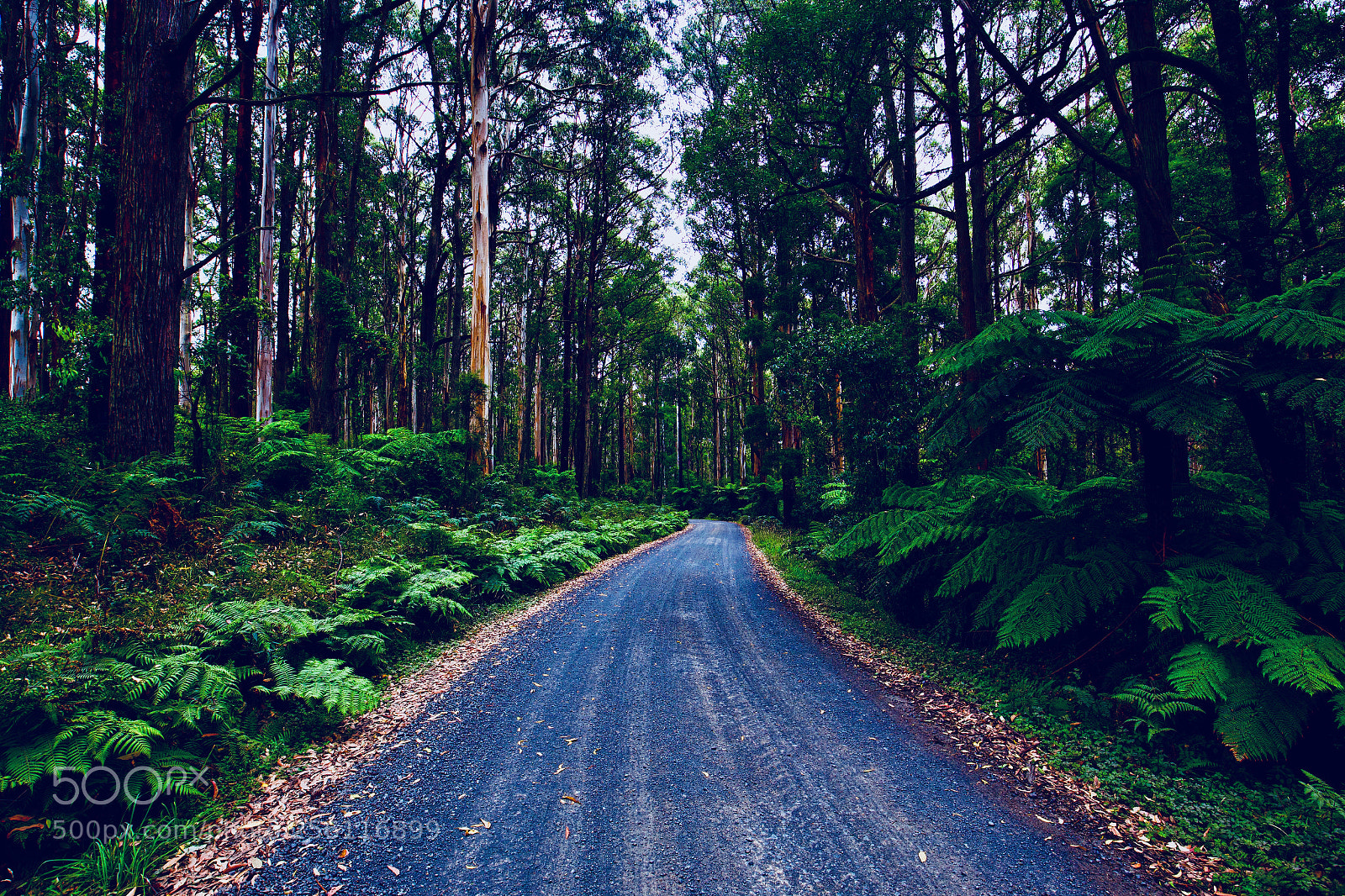 Canon EOS 6D sample photo. Roadtrip photography