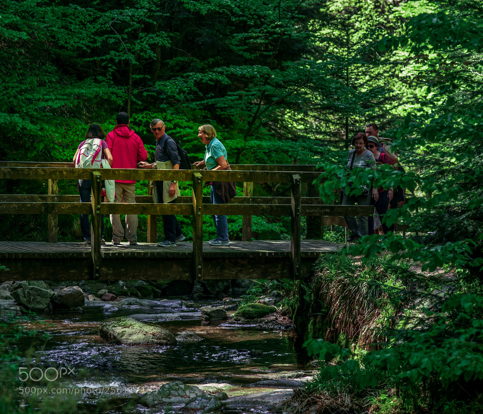 Nikon D850 sample photo. Untitled photography