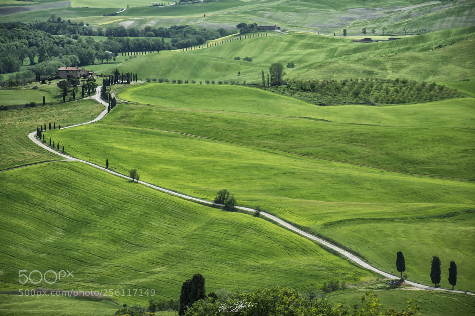 Nikon D5500 sample photo. Crete senesi - italy photography