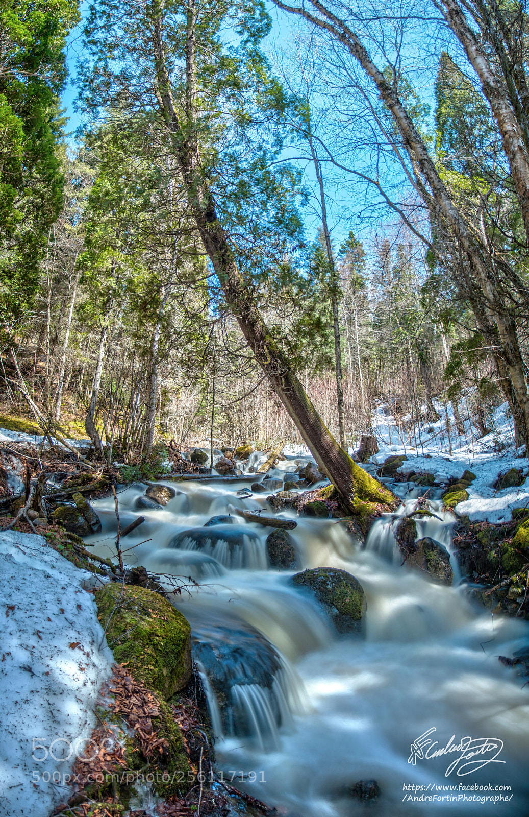 Canon EOS 70D sample photo. Cru printanière panoramique photography