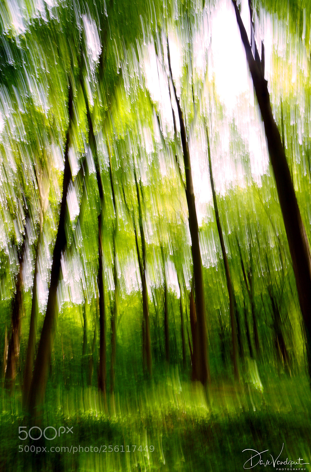 Sony SLT-A77 sample photo. Green and movement unsharpness photography