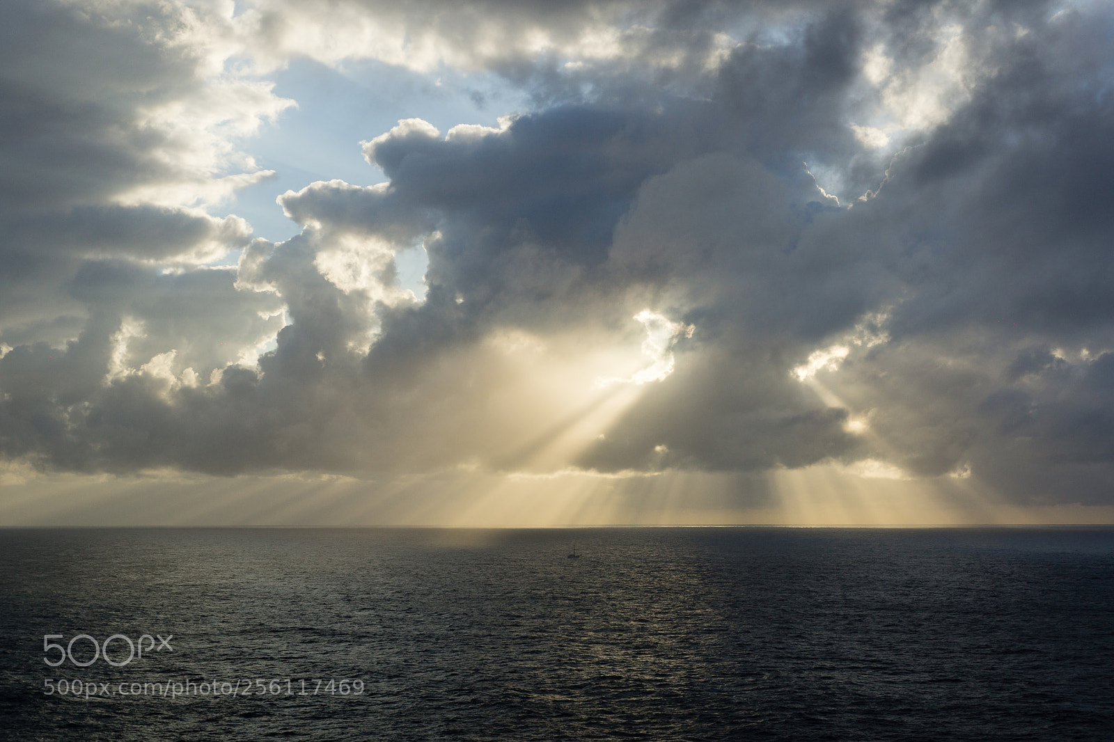 Sony SLT-A77 sample photo. Morning. photography