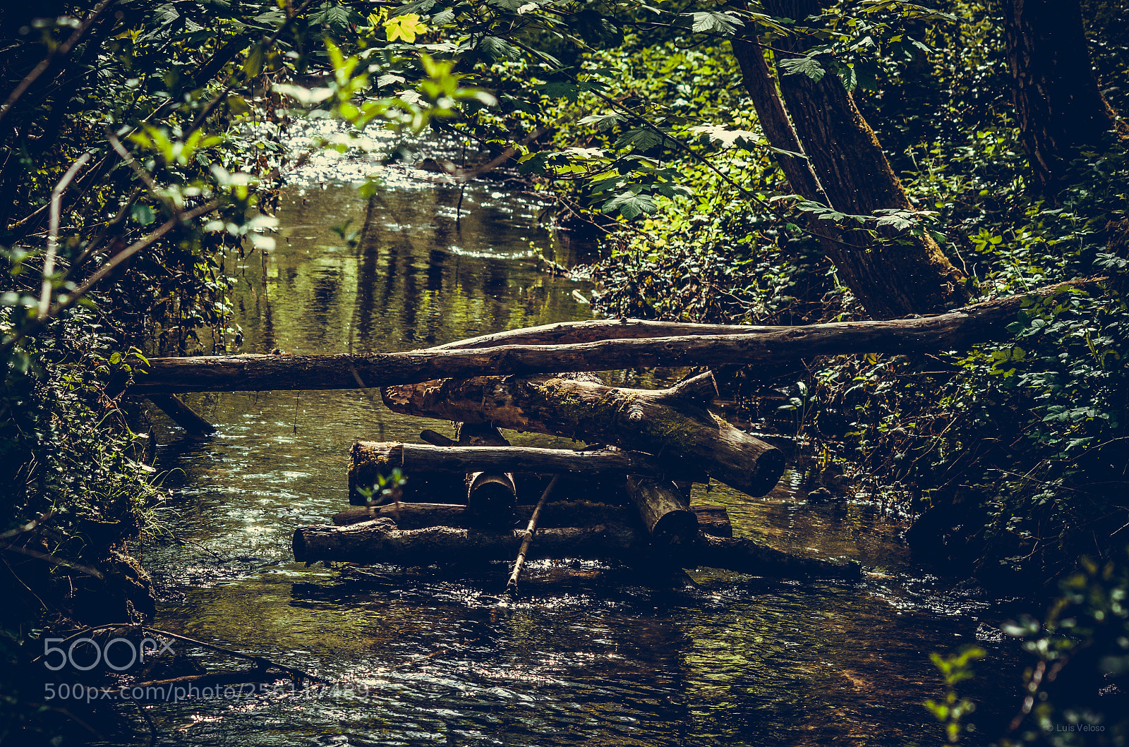 Pentax K-30 sample photo. Wood bridge photography